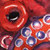 Cephalopoda